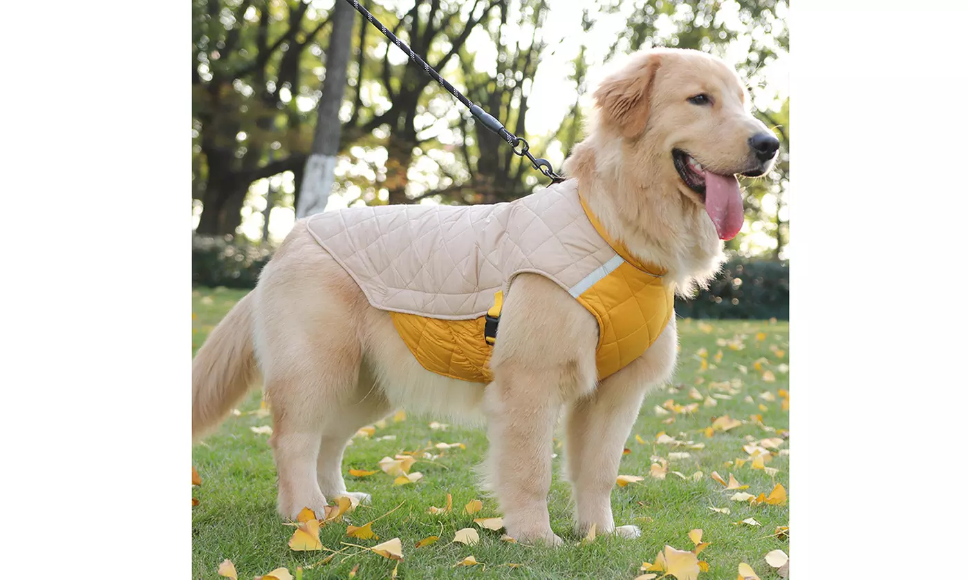 Winter Warm Quilted Dog Jacket, Waterproof Padded Coat Puppy Coat 