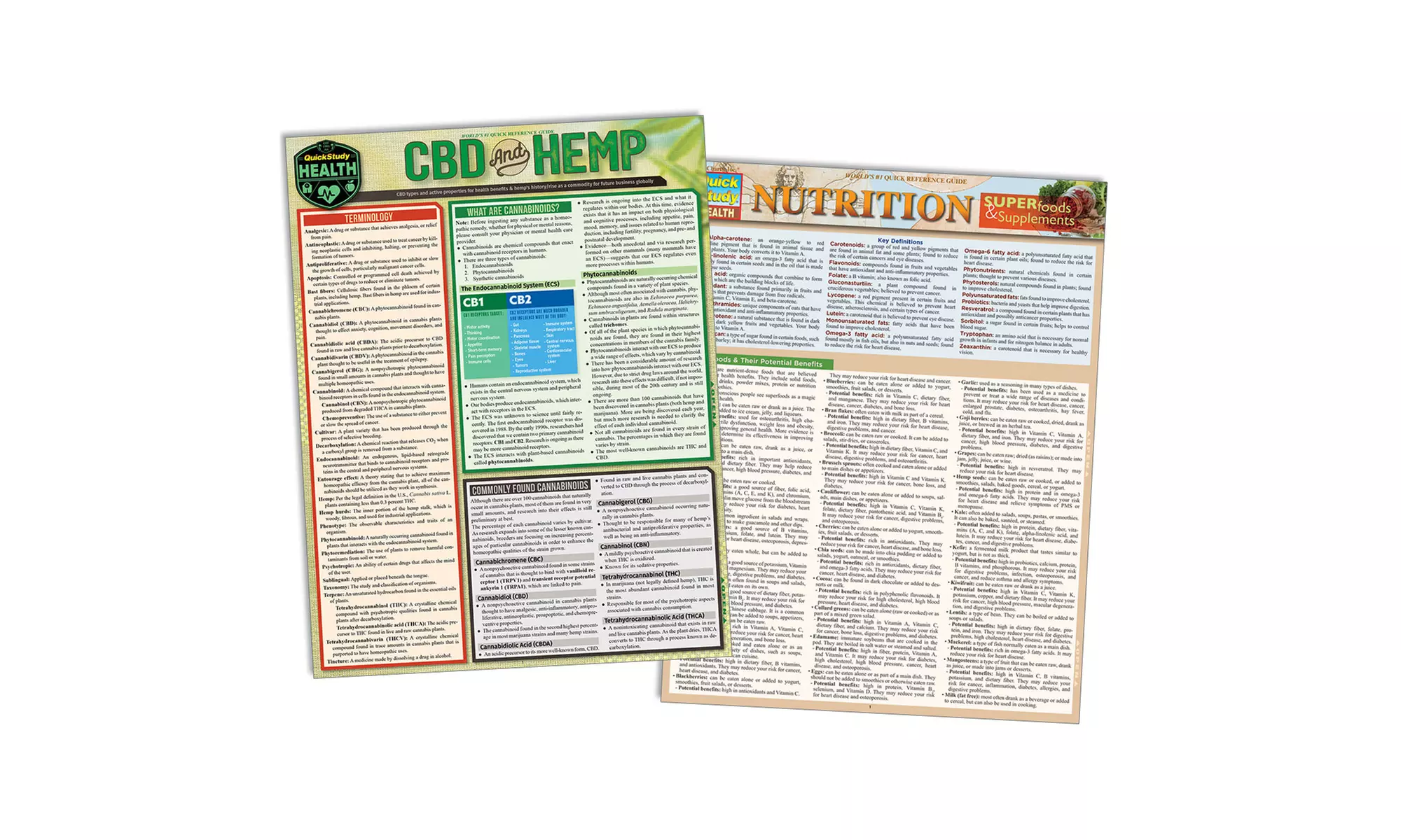 CBD: What You Need to Know - Primary Image