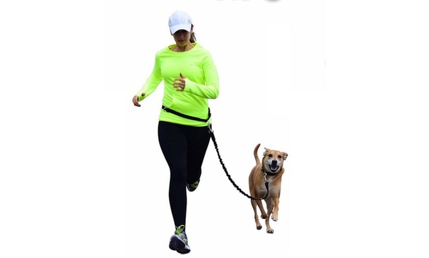 hands free running leash