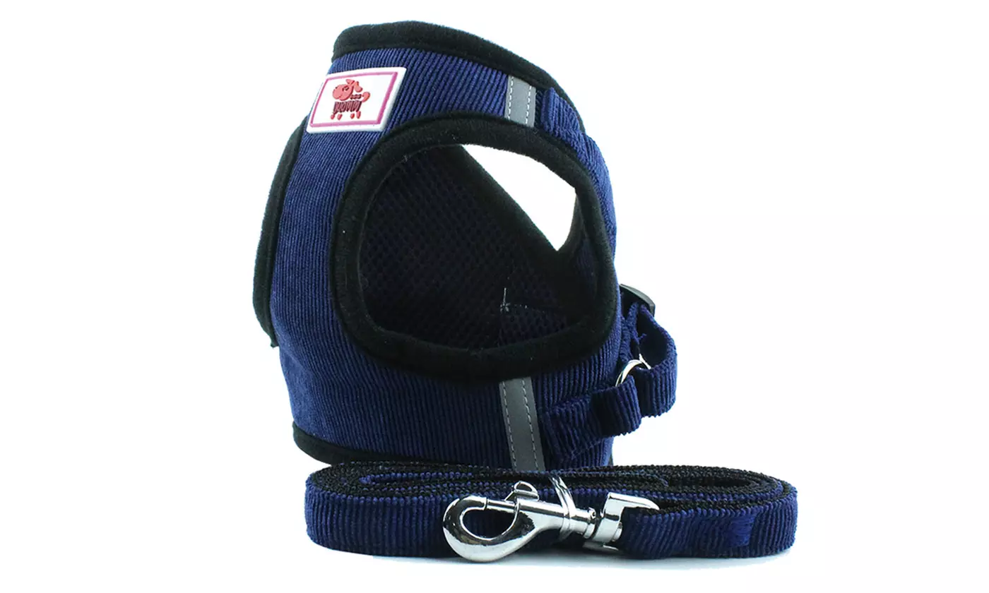 Windproof Reflective Dog Harness with Leash Set for Pet Walking