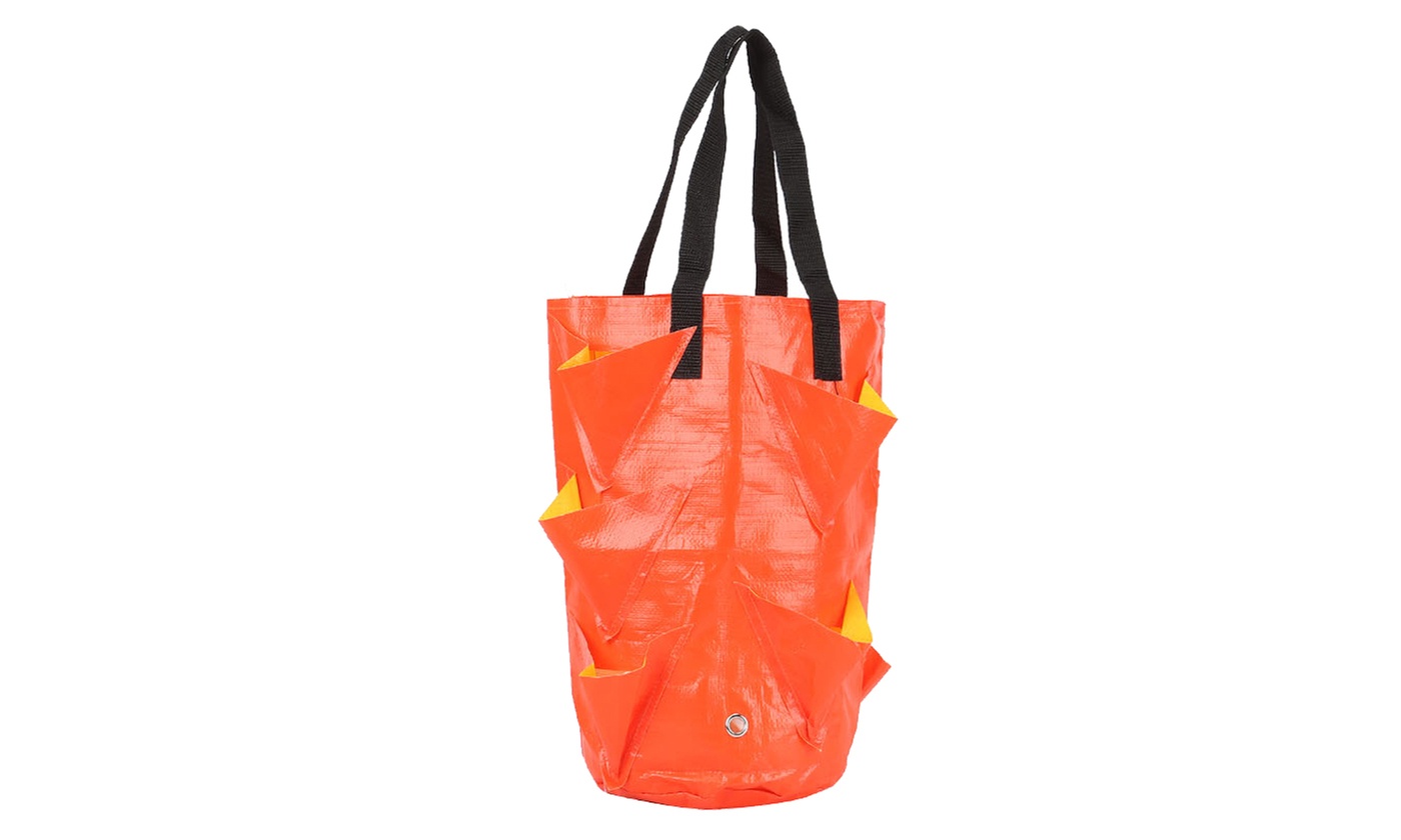 3 Gallon Strawberry Grow Bag Strawberry Plant Bag with 8 Side Planting Pockets