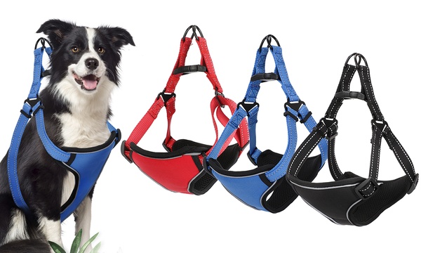 Groupon 2024 dog harness