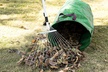 LakeForest 63" Adjustable Lawn Rake 15-Teeth Expandable Yard Leaf Rake - Second Medium