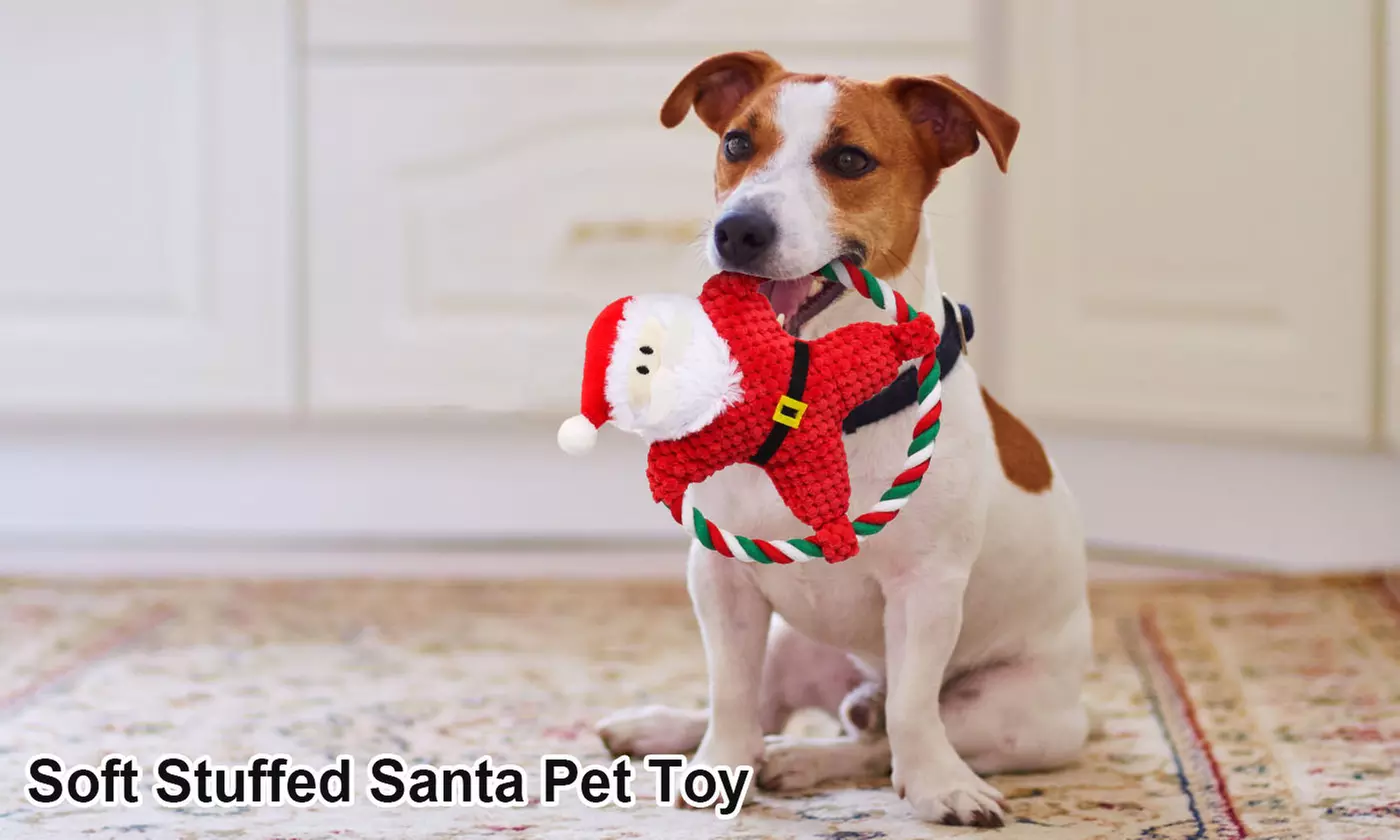 Christmas Santa Claus Rope Squeeky Interactive Plush Dog Toy