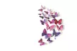 12 Pcs 3D Butterfly Art Decal Home Decor PVC Butterflies Wall Sticker - Second Medium