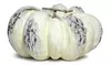 7" Autumn Harvest Weathered Pale Yellow Gray Pumpkin Fall Table Decor