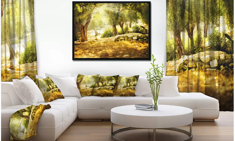 Olive Trees - Photography Framed Canvas Art Print - Primary Image