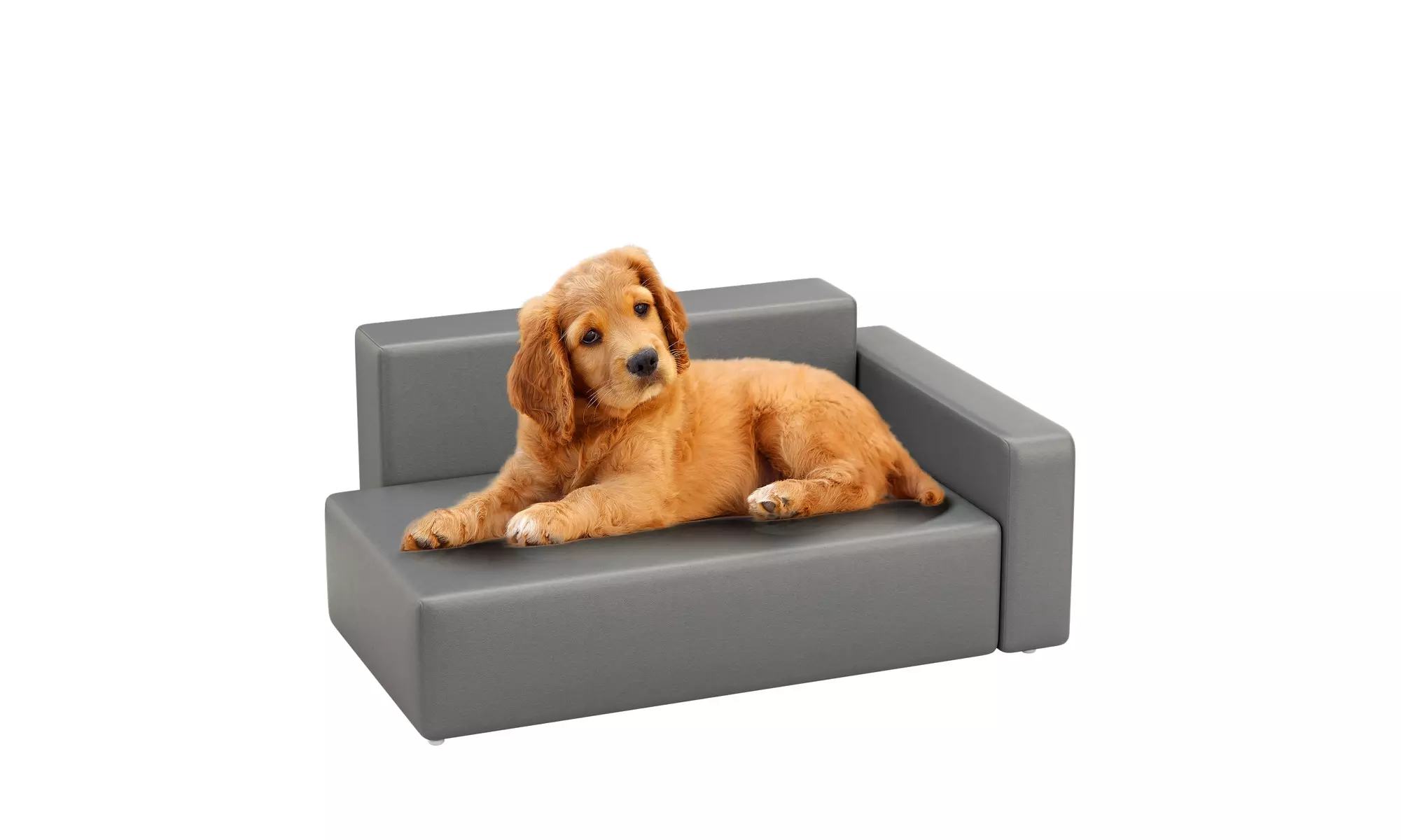 Modern Dog Sofa PU Leather Sturdy Dog Couch for Small and Medium Dogs - Primary Image