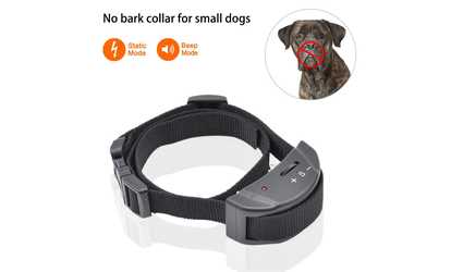 Petrainer PET852 Elecrtronic No-Bark Collar