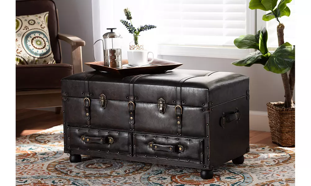Callum Dark Brown Faux Leather 2-Drawer Storage Trunk Ottoman - Primary Image