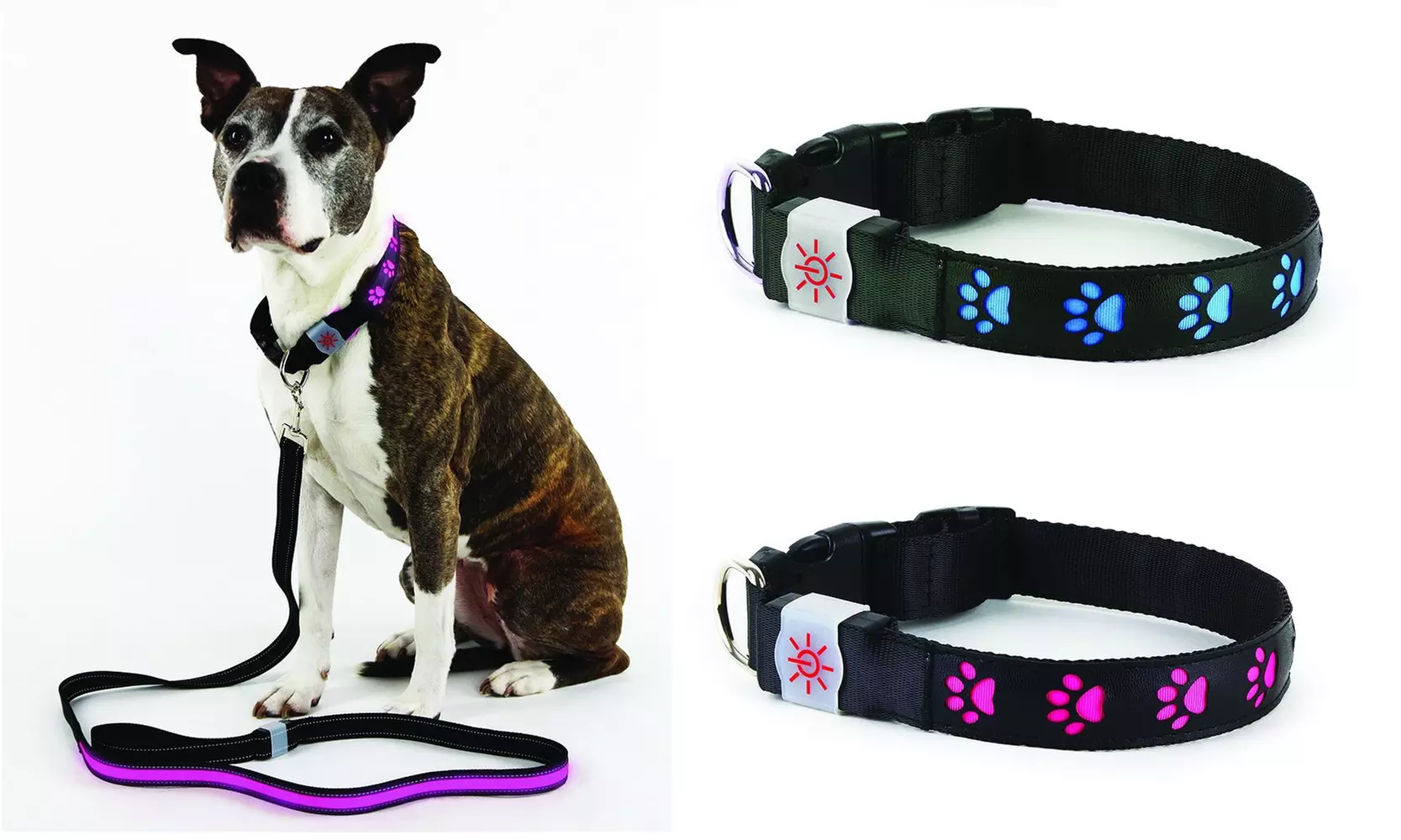 Rechargeable LED Illuminating Dog Collar (3-Sizes)  - Primary Image