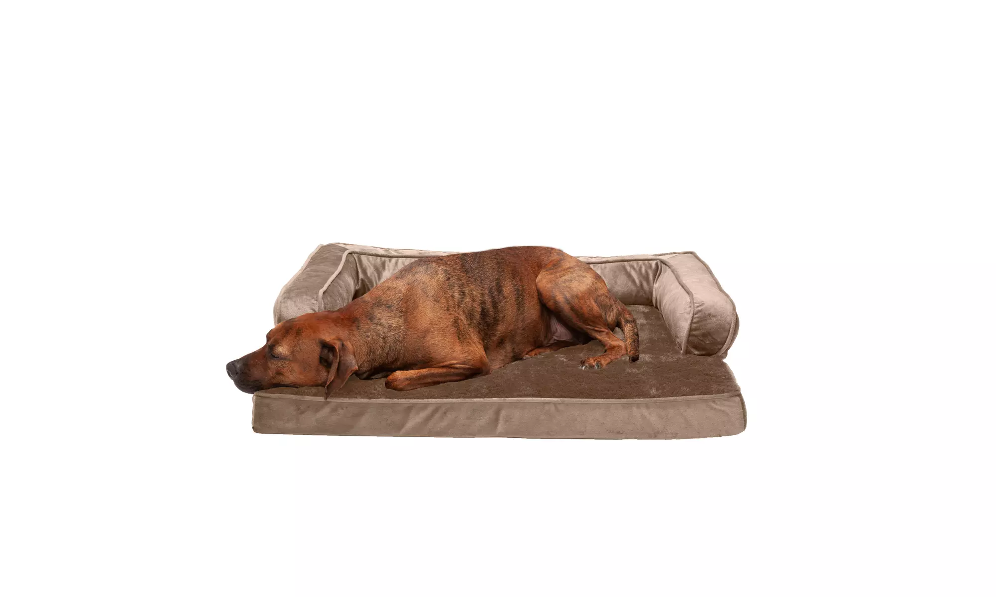 FurHaven Orthopedic Memory Foam Plush and Velvet Comfy Couch Dog Bed