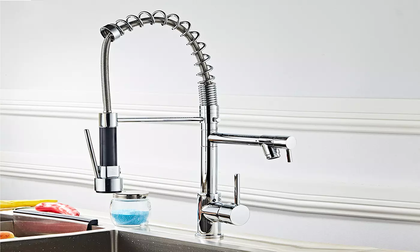 Spring Chrome Swivel Pull Out Sink Kitchen Faucet Double/Single Outlet - Primary Image