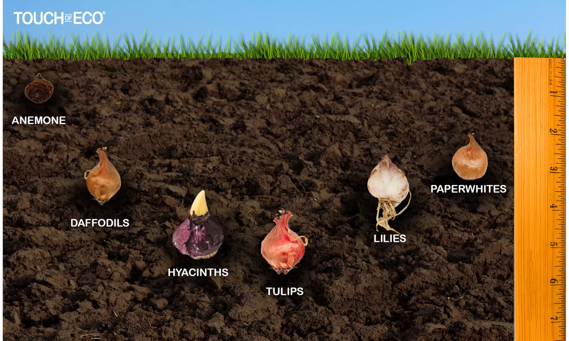 Rock Garden Mixed Flower Collection (55, 110, & 220 Bulbs with Planting Tool)