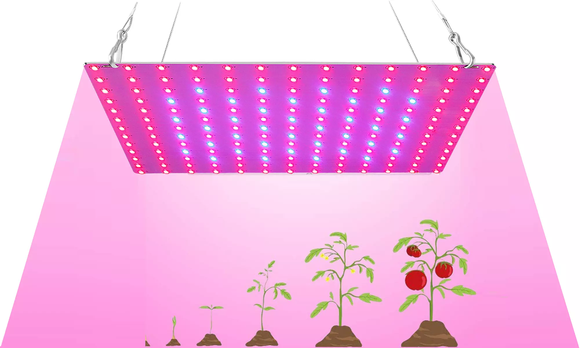 LED Full Spectrum Grow Light Plant Growing Lamp High Power for Indoor 256 Leds - Primary Image