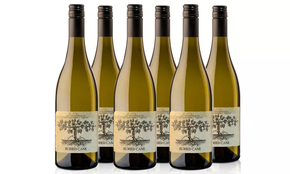 Buried Cane 2018 Chardonnay Shipping Included - Second Medium