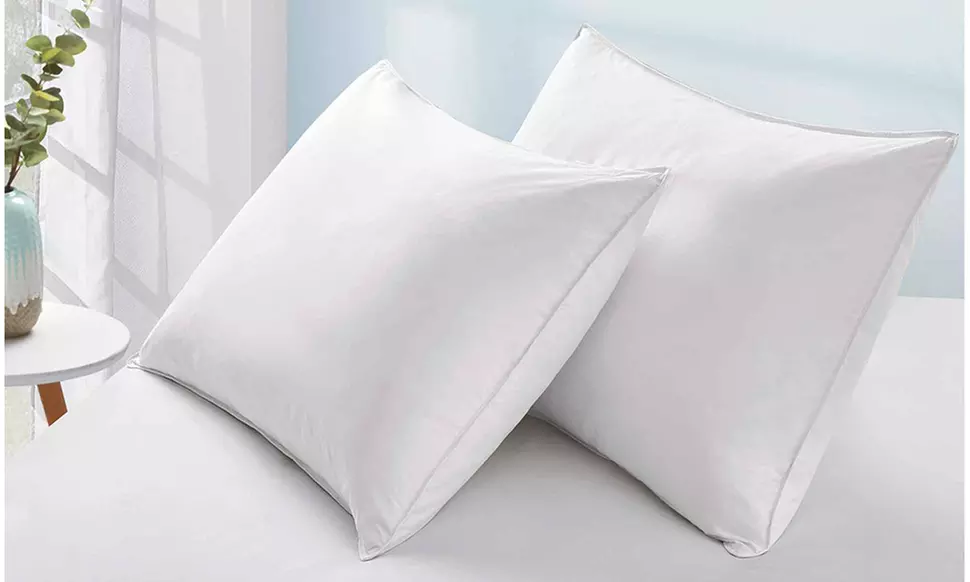 Peace Nest 2 Pack White Goose Feather and Down Pillows