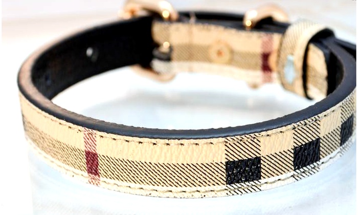 designer collars