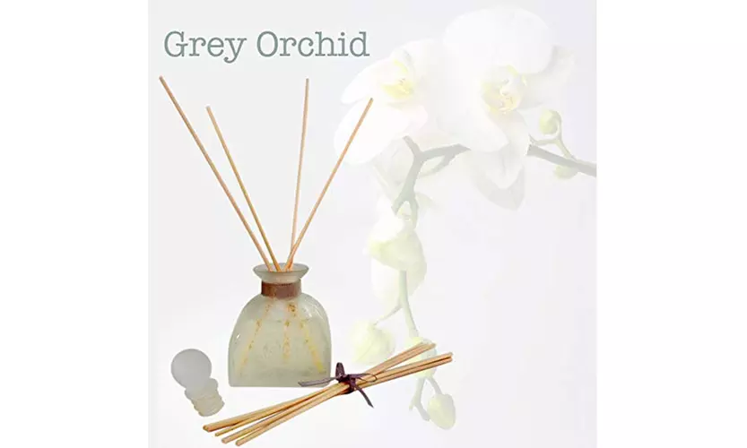 Essential Oil Diffuser with Oil Diffuser Sticks, Reed Diffuser Set - Primary Image
