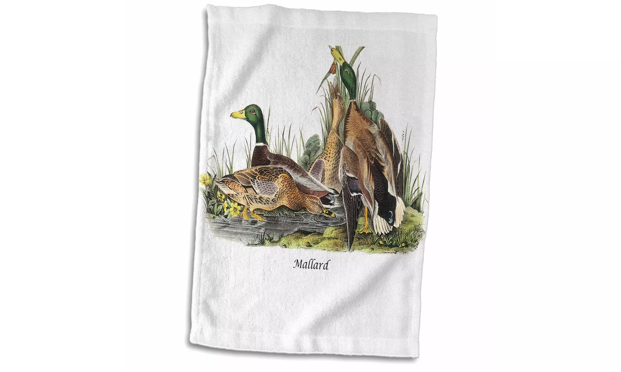  Towel - Mallard Duck by John James Audubon - 15 by 22-inches  - Primary Image