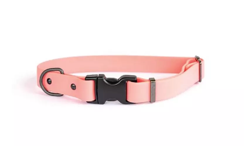 Waterproof Quick Release PVC Dog Collar - Second Medium