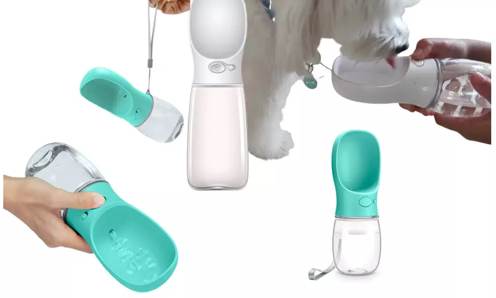 Portable Water Dispenser for Pets - Primary Image