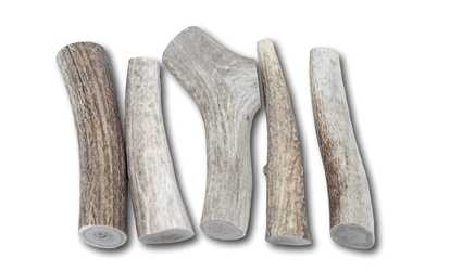 Top Dog Chews Premium Large Thick Elk Antler 5 Pack Dog Chew Treat Made in USA