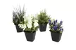 Pure Garden 6" Flower Pots (1- or 4-Pack) - Second Medium