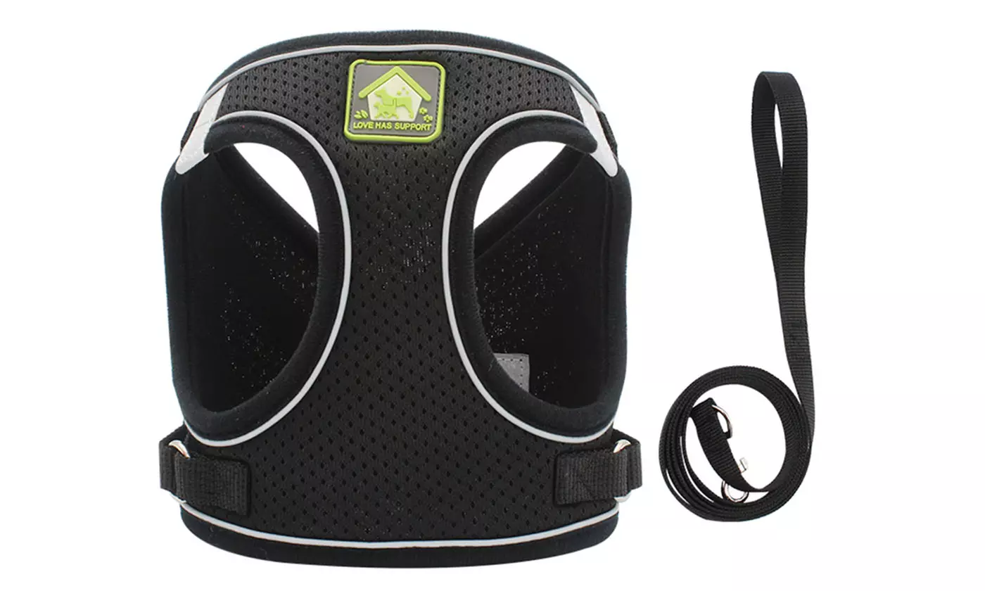All Weather Mesh Step In Vest Harness and Leash Set