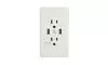Dual 2.1A USB Wall Outlet Fast Charger Socket 15A AC Power Receptacle White