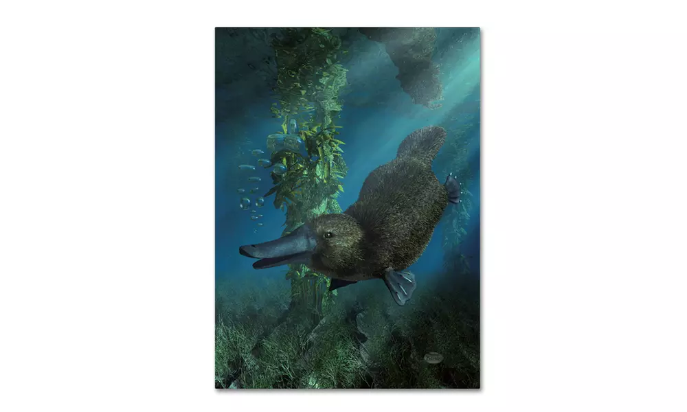 Daniel Eskridge 'Platypus' Canvas Art - Primary Image
