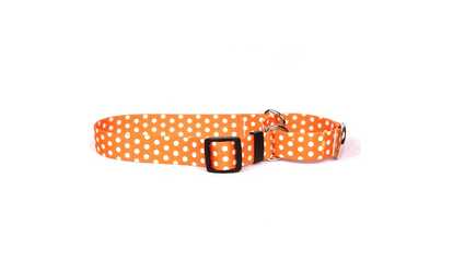 Yellow Dog Design M-ORP102M Orange Polka Dot Martingale Collar -Medium