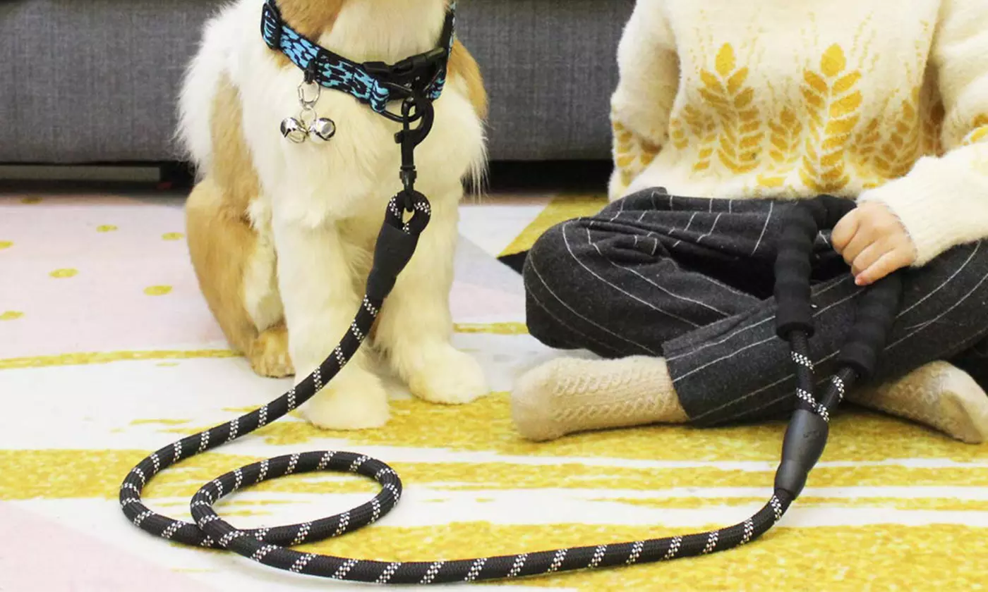 5 FT Dog Leash Reflective Nylon Rope Pet Running Tracking Leashes