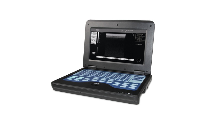 VET Veterinary Portable Notebook Laptop Ultrasound Machine Scanner ...