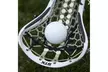 Champion Sports Official Lacrosse Balls 96 PACK - Second Medium