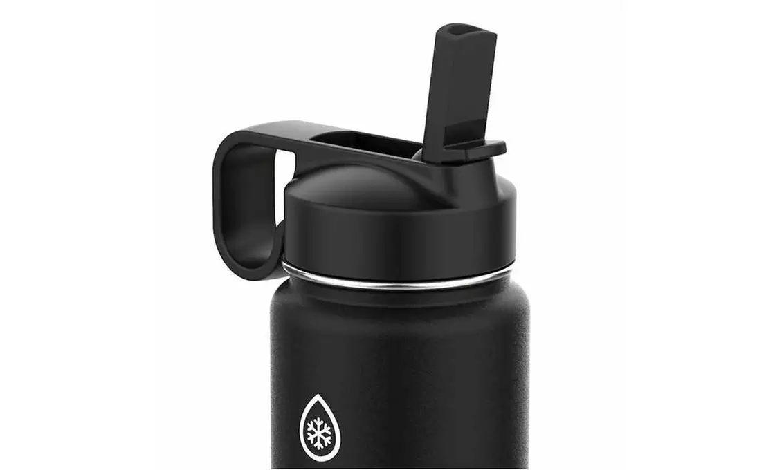 Thermoflask Stainless Steel 24oz Water Bottle with Straw Lid - 2-pack - Second Medium