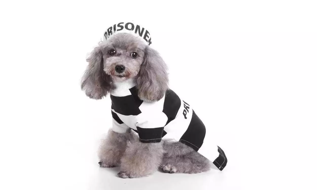 Pet Life Striped Retro Inmate Prisoner Pet Dog Costume Uniform - Primary Image