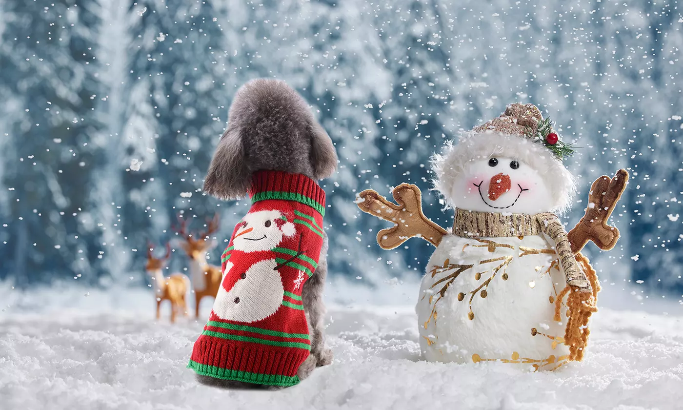 iMounTEK Warm Knit Christmas Sweater for Pets