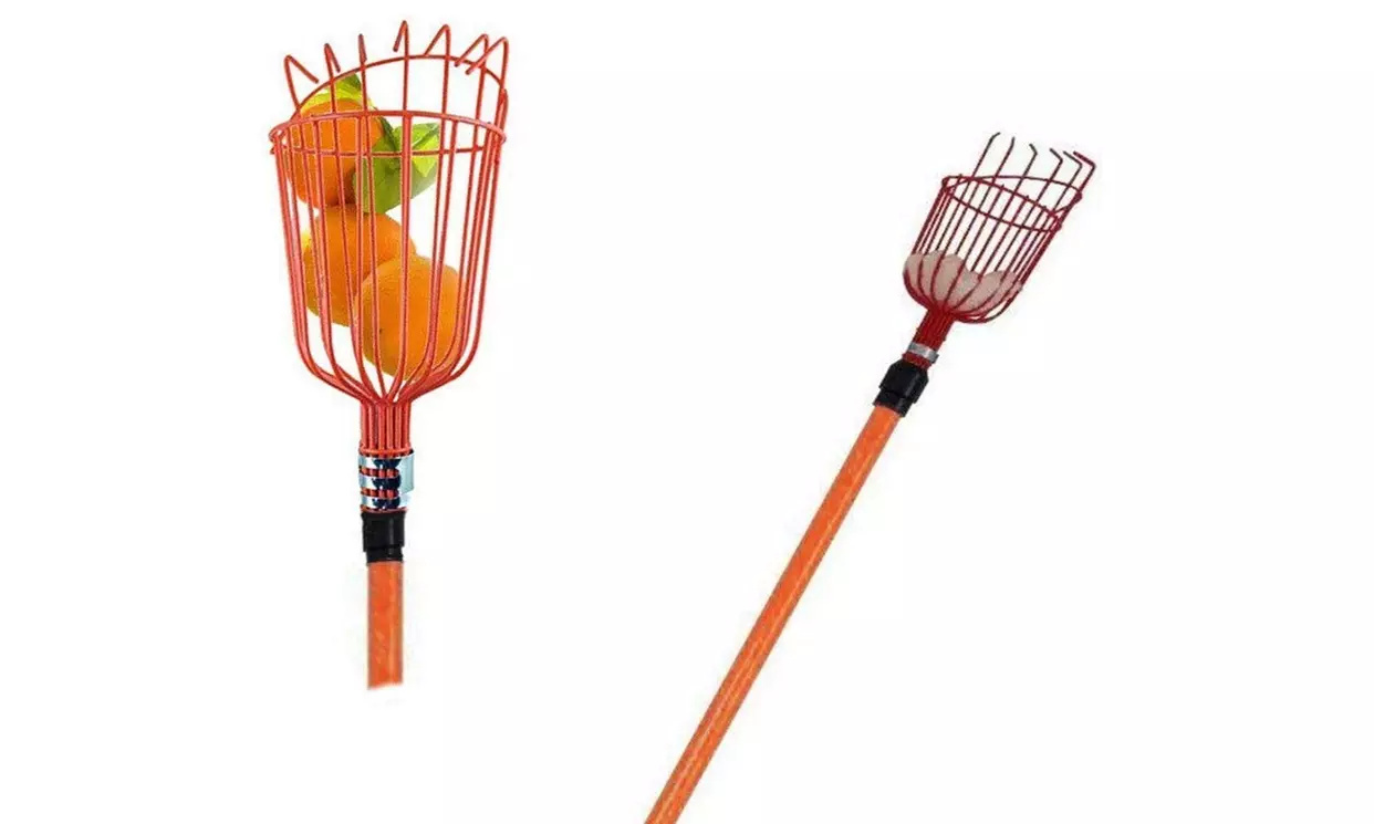Professional Metal Fruit Picker with Long Telescoping 8ft Pole & Fruit Catcher  - Primary Image