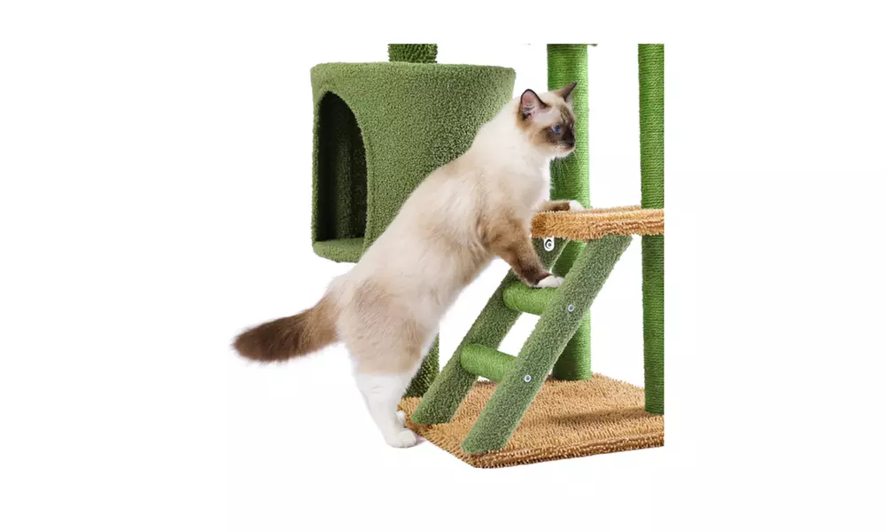 Desert Cactus Cat Tree Ladder Multi Levels Condo - Second Medium