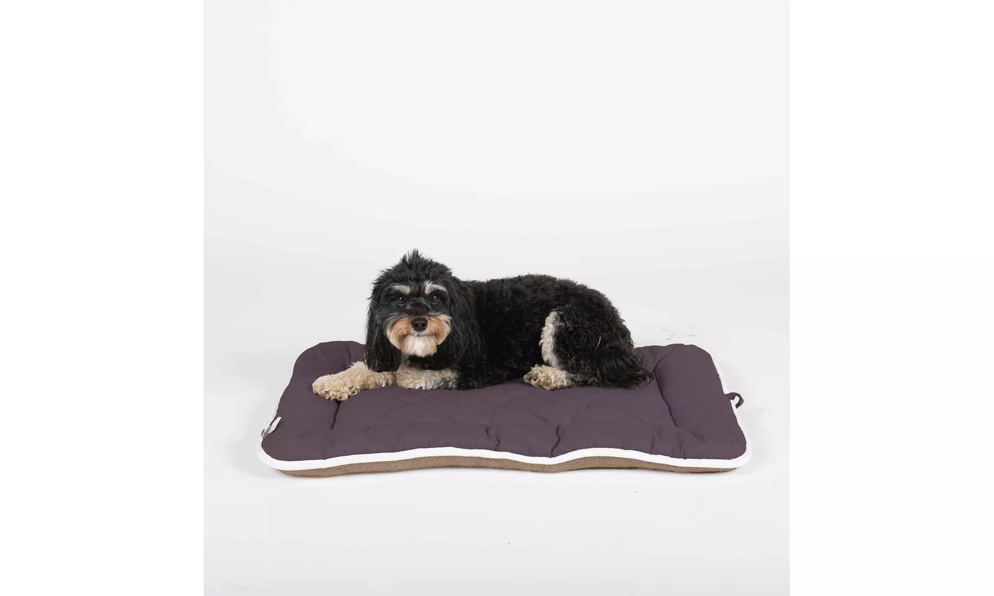 DGS Pet Products Pet Cotton Canvas Sleeper Cushion Dog Bed - Primary Image