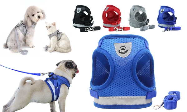 Groupon dog outlet harness