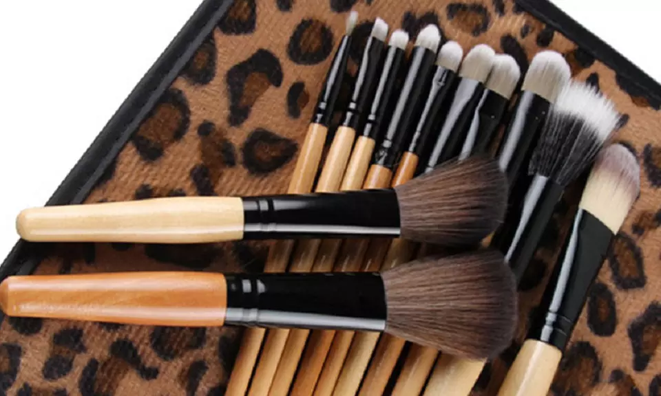 Professional Cosmetic Brush Kit with Leopard Print Case (12- Piece) - Second Medium