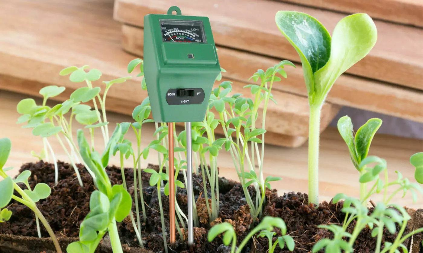 3in1 Soil Tester Water PH Moisture Test Meter For Garden Plant Flower