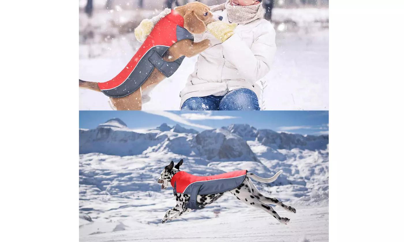 Waterproof Cold-proof Clothes Reflective Jackets for Pet Puppy Large Dog