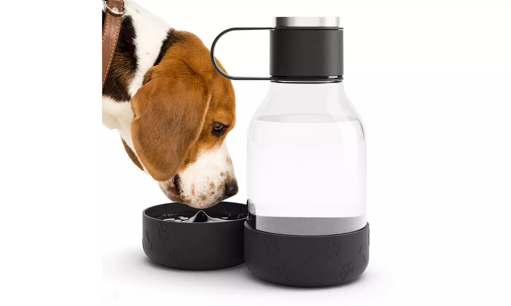 Asobu Tritan Water Bottle with Dog Bowl Attached- 50 Ounces