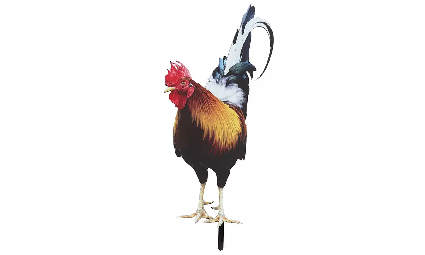 Rooster Decor Garden Statue Acrylic Chicken Yard Art Sculpture Outdoor Figurines