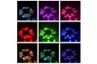 Amaping 5M RGB 3528 300 Led SMD Flexible Light Strip Lamp - Second Medium