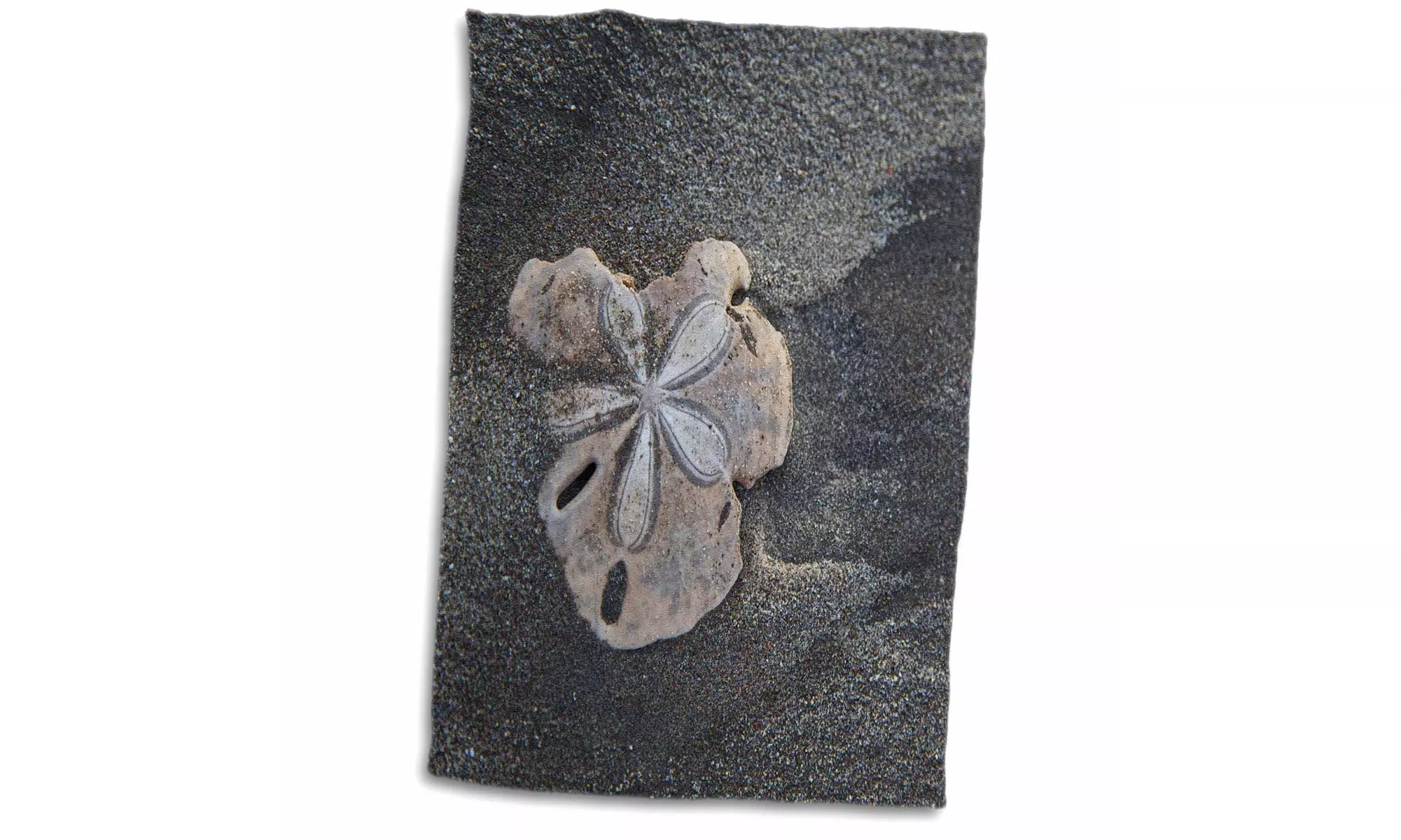  Towel - Central America, El Salvador, sand dollar on sand. - 15 by 22-inches  - Primary Image
