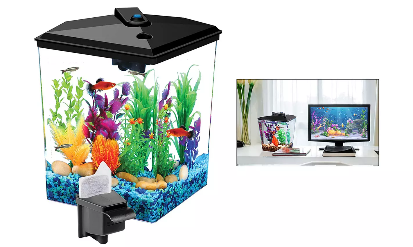 1-Gallon Betta Aquarium Kit, LED Light, Power Filter And Betta Fish Tank - Primary Image